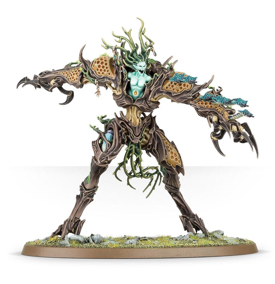 DRYCHA HAMADRETH