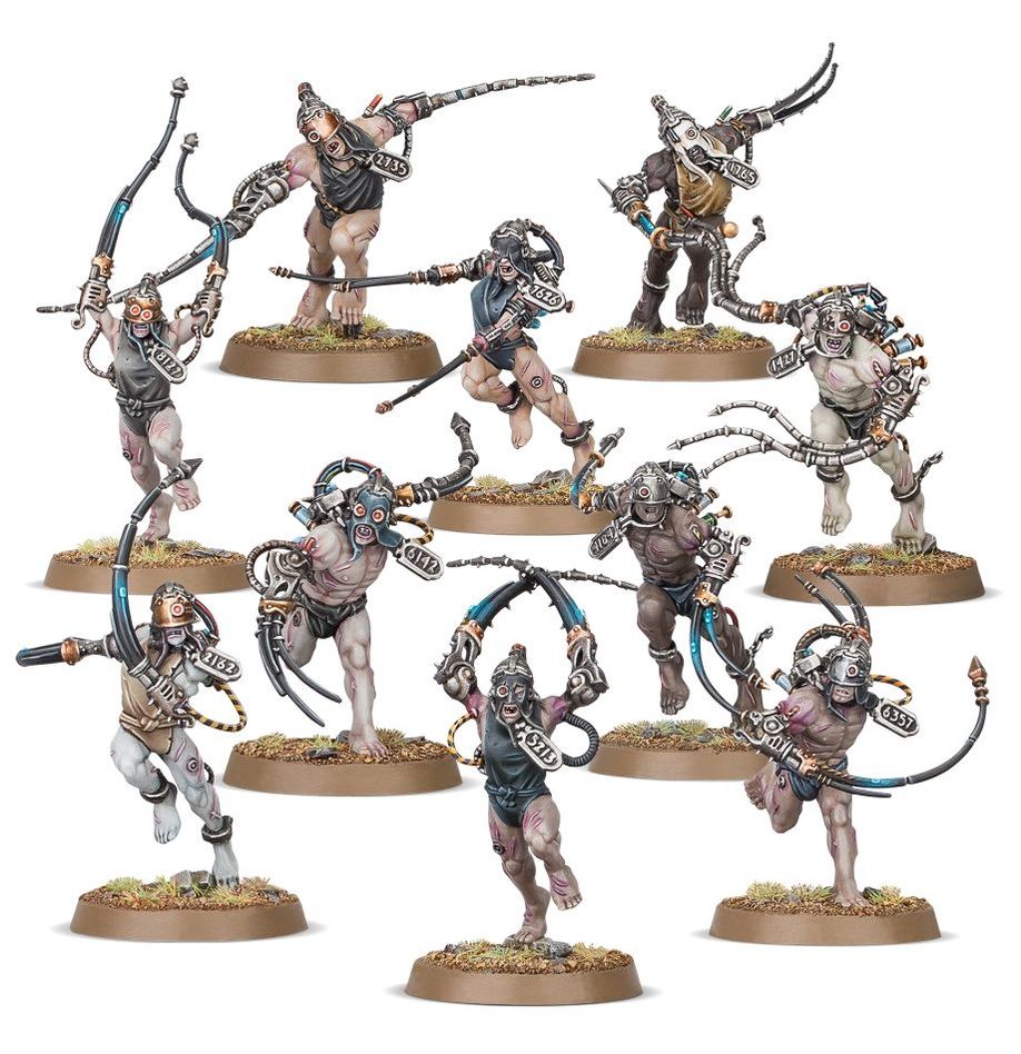 ARCO-FLAGELLANTS